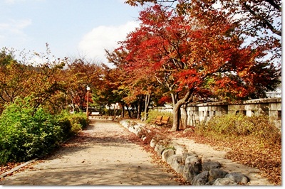 3-서울낙산성곽-가을-20140912.jpg