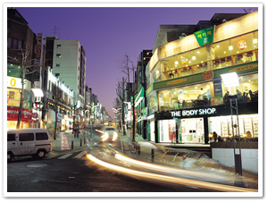 27100042005120026_Sinchon-Ehwa Univ. Street, New Look of Seoul.png